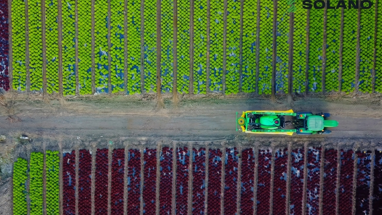 técnicas agrícolas